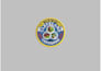 do manual embroidery digitizing for patches into dst,pes,emb